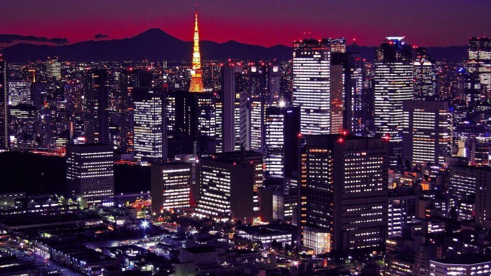 Narita Airport NRT Private Transfer To/From Tokyo Region - Experienced Drivers and Support