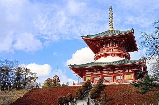 Narita Layover Tour With National Licensed Guide - Highlights of the Tour