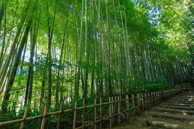 Narita Shinshoji Temple and Sakura Samurai Residences by Car - Booking and Cancellation Policy