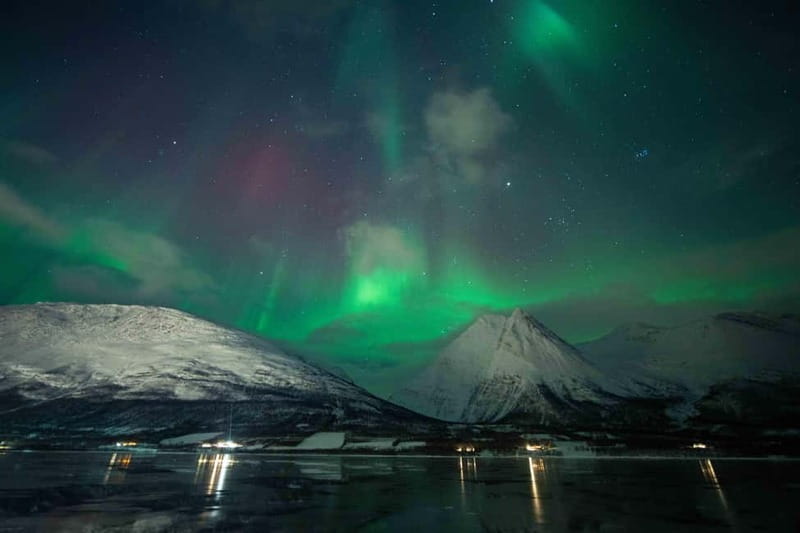 Narvik: Northern Lights Guided Tour with Photography Tips - An In-Depth Look at the Narvik Northern Lights Tour