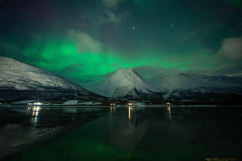 Narvik: Northern Lights Guided Tour with Photography Tips - Who Should Consider This Experience?