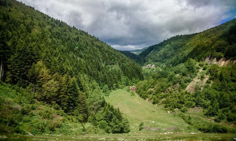 National Park Mavrovo from Ohrid - A Deep Dive into the Mavrovo National Park Tour
