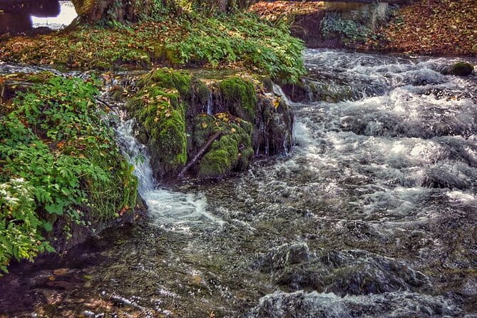 National park Tara - private day tour - Detailed Review of the Tara National Park Private Tour
