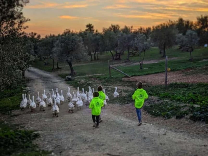 Natural Park and Picnic Experience near Florence - The Value of This Experience