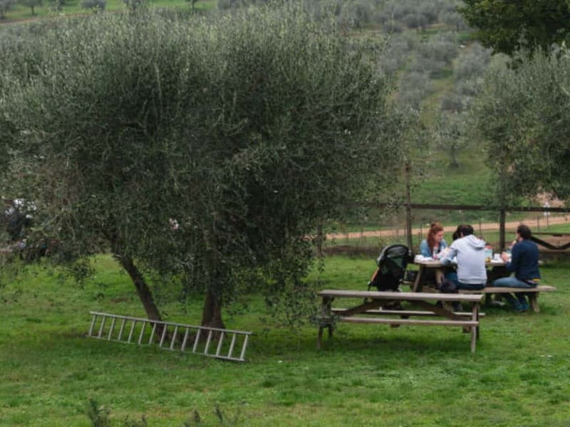 Natural Park and Picnic Experience near Florence - FAQs