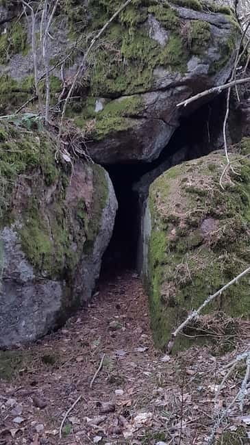 Nature Hike from Stockholm - Key Points / Takeaways