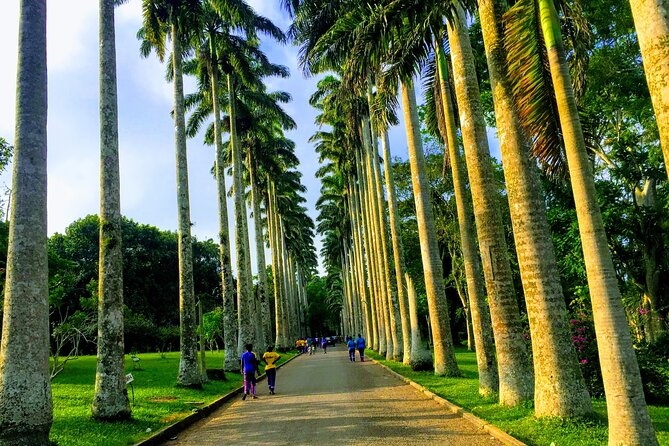 Nature Thrills - Key Points