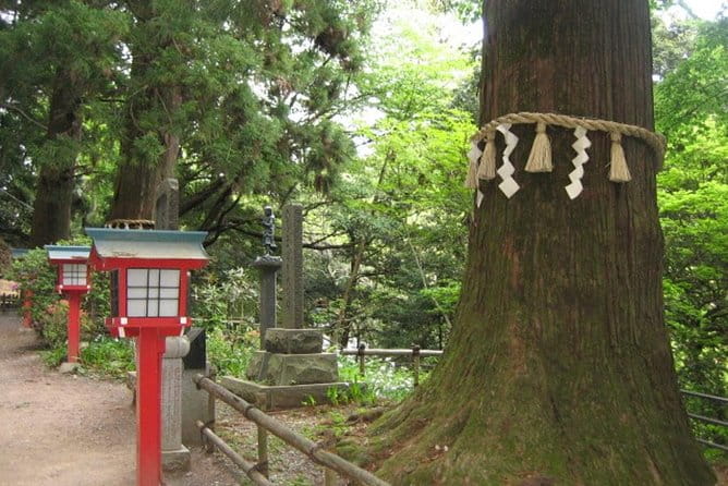 Nature Tour at Mt. Takao - Inclusions and Special Options