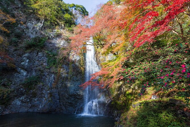 Nature Walk at Minoo Park, the Best Nature and Waterfall in Osaka - Key Features of the Nature Walk