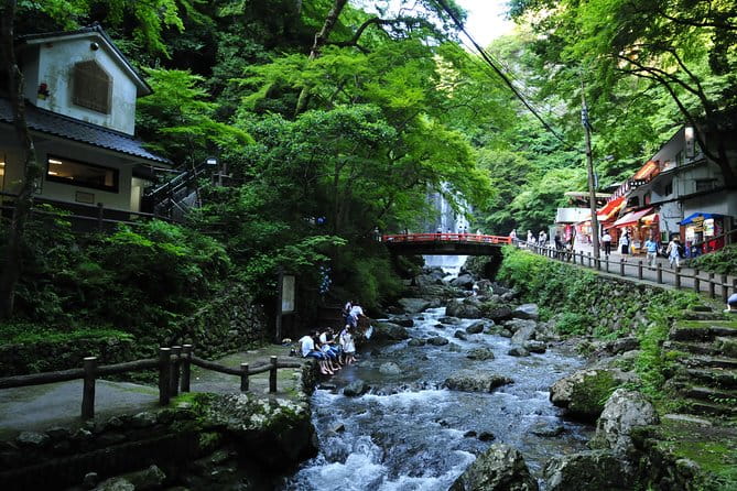 Nature Walk at Minoo Park, the Best Nature and Waterfall in Osaka - Tour Inclusions and Logistics