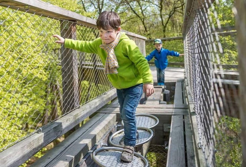 Naturerbe Zentrum Rügen & Treetop Walk Experience - Key Points / Takeaways