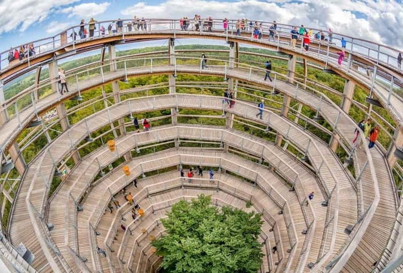 Naturerbe Zentrum Rügen & Treetop Walk Experience - Exploring Rügen’s Treescape and Views: An In-Depth Look