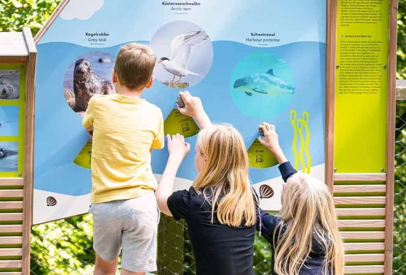 Naturerbe Zentrum Rügen & Treetop Walk Experience - Price and Logistics