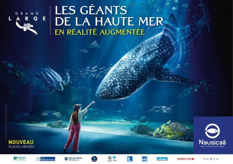 Nausicaá National Sea Center: Full-Day Entry Ticket - Key points / Takeaways