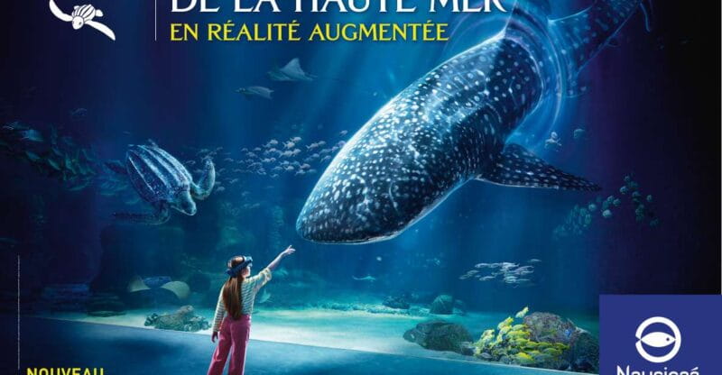 Nausicaá National Sea Center: Full-Day Entry Ticket - Final Thoughts: Is Nausicaá Worth It?