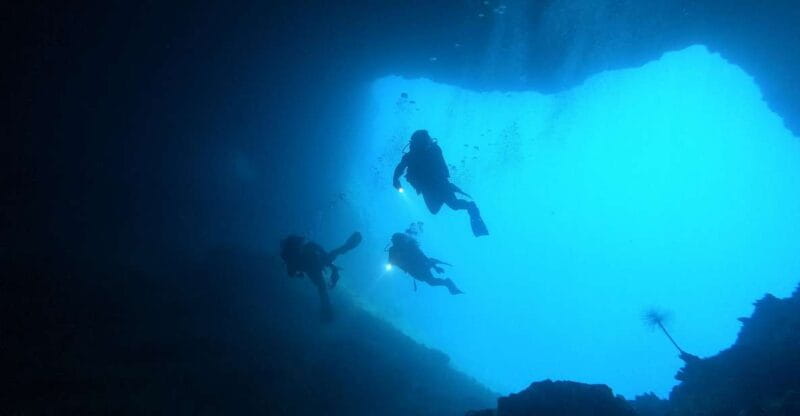 Naxos: Discover Scuba Dive with Nima Dive Center - Key points / Takeaways