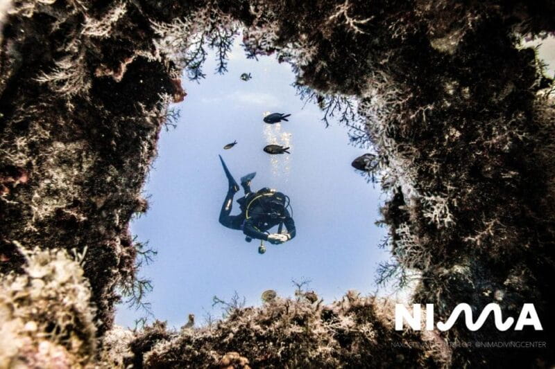 Naxos: Discover Scuba Dive with Nima Dive Center - What to Expect: From Theory to Underwater Bliss