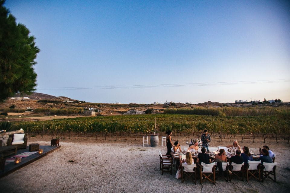 Naxos: Full Moon Dinner and Wine Tasting in a Vineyard - Cultural and Scenic Highlights