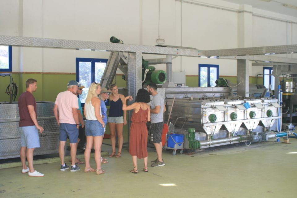 Naxos: Half-Day Olive Oil Tour With Tastings - Inclusions