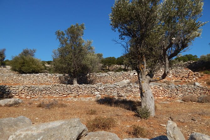Naxos: Inland hike to explore local villages & antiquities - Exploring Naxos on Foot: A Guided Inland Hike