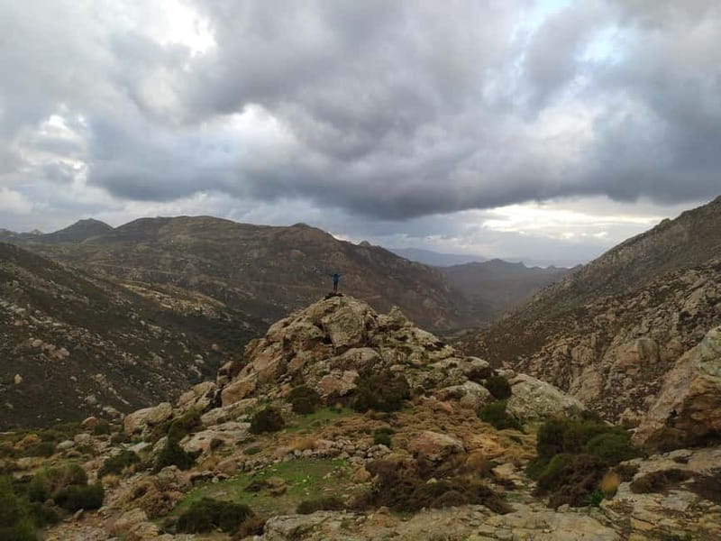 Naxos: Mystical Gorge & Hidden Waterfall Escape - Authentic Greek Cuisine in a Village Square