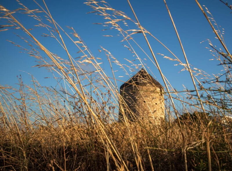 Naxos: Photography session for 2 hours. . . - Final thoughts: Who should consider this experience?