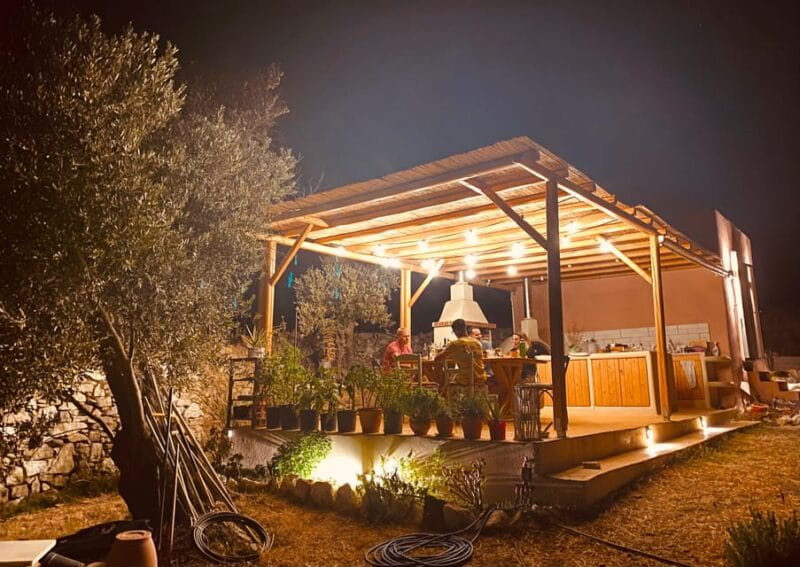 Naxos : Private BBQ night in the olive grove - Key points / Takeaways