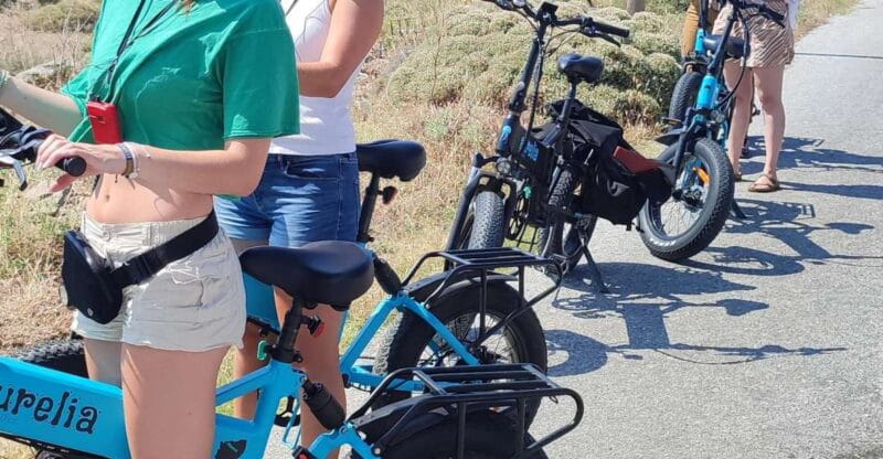 Naxos: Private E-Bike Tour with Farm Lunch - Final Thoughts