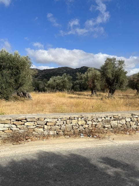 Naxos: Private E-Bike Tour With Wine Tasting Inland Methexis - Exploring Halkis Village