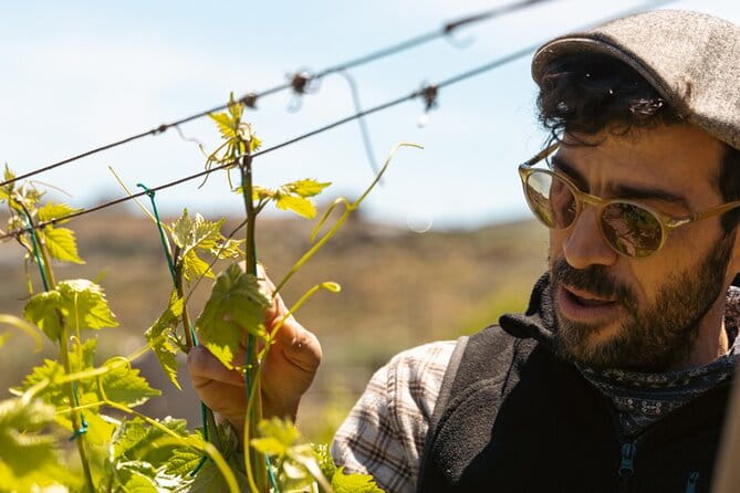 Naxos Private / Semi Private E-Bike Guided Tour Inland Methexis - Discovering Naxos’ Inland Beauty on a Guided E-Bike Tour