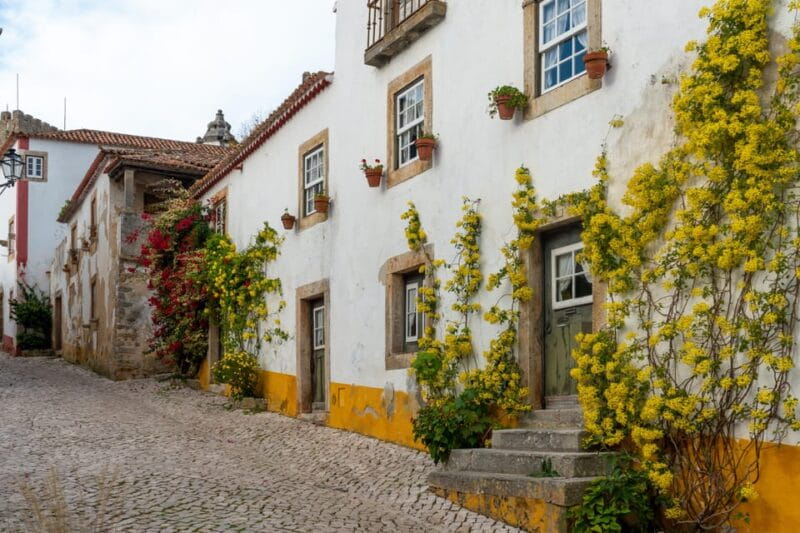Nazaré and Óbidos private tour - Who This Tour Is Perfect For