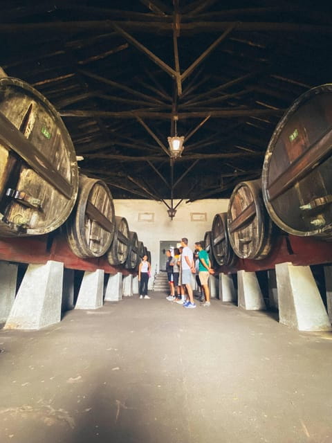 Nazaré - Óbidos E-bike and Wine tour - Key points / Takeaways