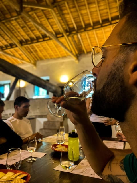 Nazaré - Óbidos E-bike and Wine tour - Who This Tour Works Best For