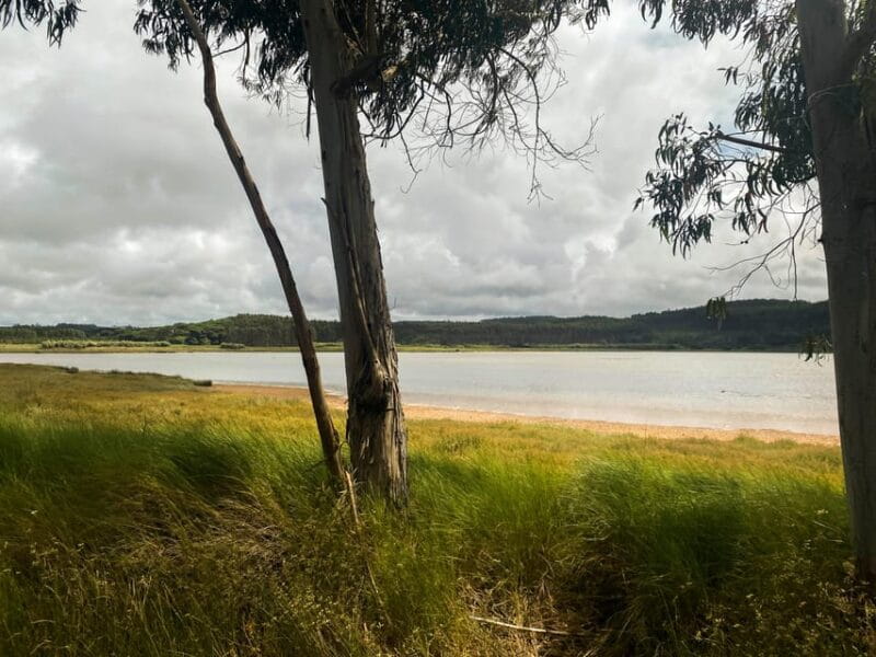 Nazaré - Óbidos E-bike and Wine tour - Price and Logistics: Is It Worth It?