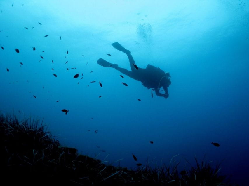 Nea Makri: Open-Water Diving Advanced PADI Course - Key Points