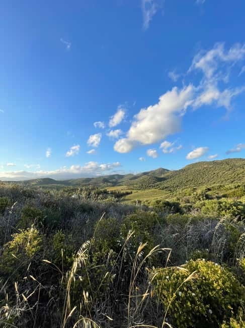 Near Cagliari: Almond Blossom Magic at "In Our Garden" (new) - Value and Practical Considerations