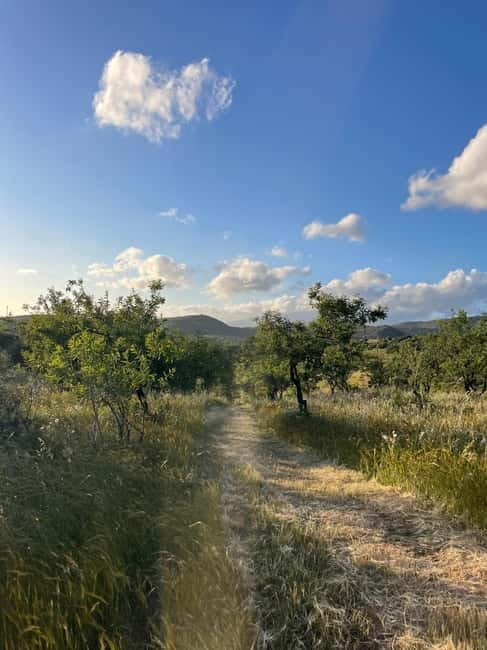 Near Cagliari: Almond Blossom Magic at "In Our Garden" (new) - FAQ About "In Our Garden" Almond Blossom Experience