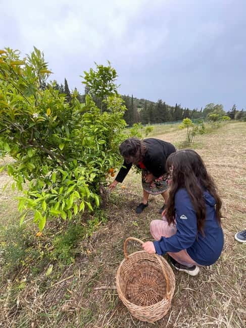 Near Cagliari: Wild Herbs and Healing at "In Our Garden" - Key points / Takeaways