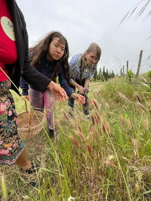 Near Cagliari: Wild Herbs and Healing at "In Our Garden" - What Makes Ramona an Outstanding Guide