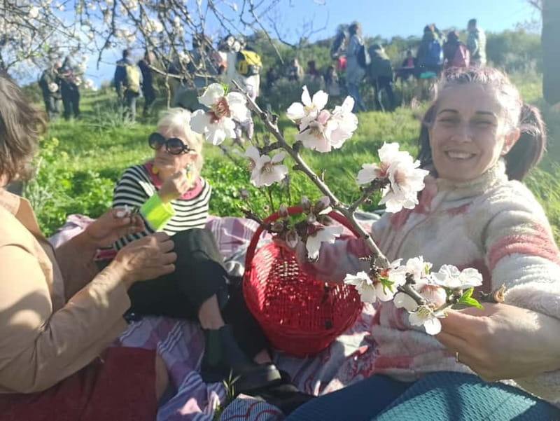 Near Cagliari: Wild Herbs and Healing at "In Our Garden" - Practicalities and Logistics