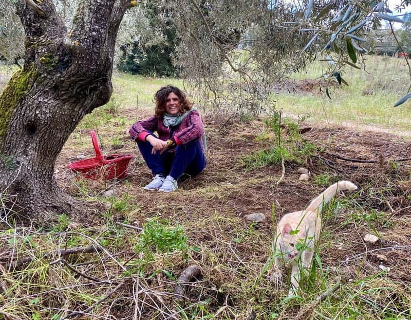 Near Cagliari: Wild Herbs and Healing at "In Our Garden" - Who Will Enjoy This Tour?