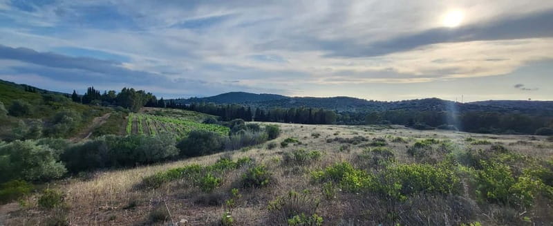 Near Cagliari: Wild Herbs and Healing at "In Our Garden" - Overall Value and Final Thoughts