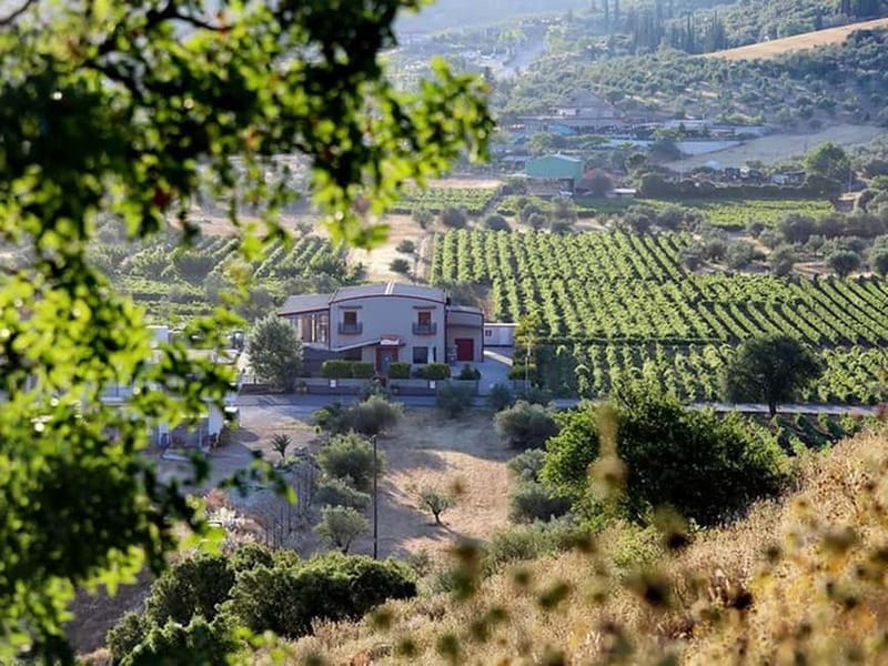 Nemea: Wine Tasting Tour with Local Dishes - Final Thoughts