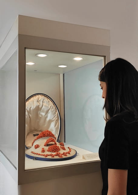 Nepales: Discover the Rich Heritage of Ascione Museum - Who Will Enjoy This Experience?