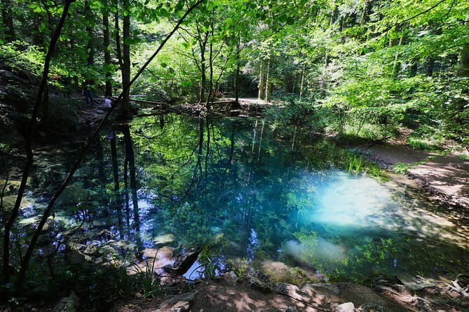 Nera Gorge National Park - Private Day Tour from Timisoara - Key points / Takeaways