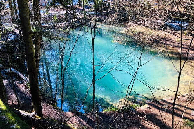 Nera Gorge National Park - Private Day Tour from Timisoara - Beusnita Waterfall: Nature’s Finale