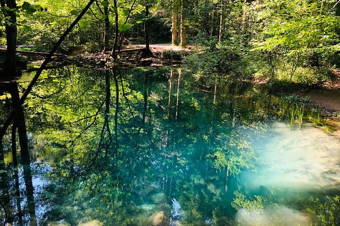 Nera Gorge National Park - Private Day Tour from Timisoara - Who Will Love This Tour?