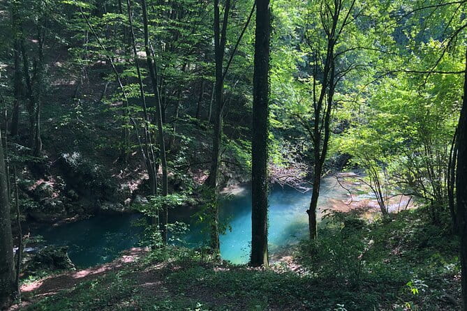 Nera Gorge National Park - Private Day Tour from Timisoara - Final Thoughts on the Nera Gorge Private Day Tour