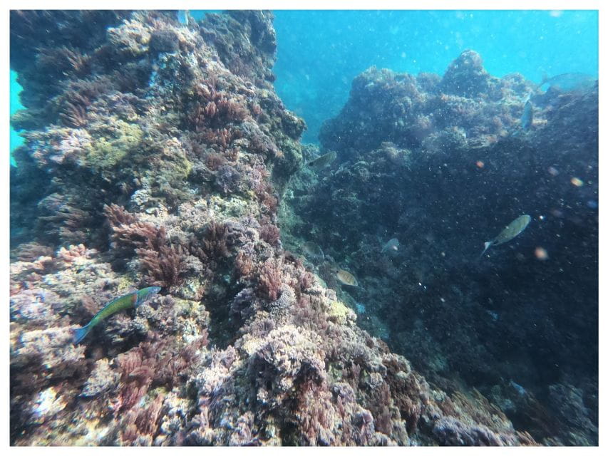 Nerja: Cliffs of Maro-Cerro Gordo Guided Kayak Tour - Nearby Attractions