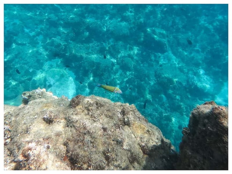 Nerja: Cliffs of Maro-Cerro Gordo Kayak Rental - Who Should Consider This Activity?